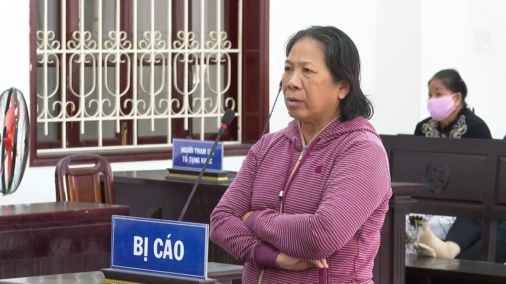 Lãnh án 13 năm tù về tội lừa đảo hơn 11 tỷ đồng