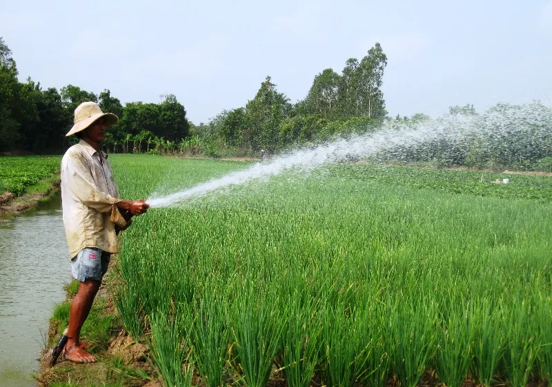 ĐBSCL: Xâm nhập mặn có xu thế giảm, nhưng vẫn ở mức cao