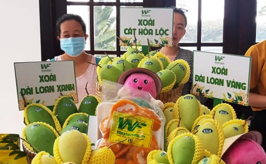 Xuất khẩu xoài đạt trên 180 triệu USD 
