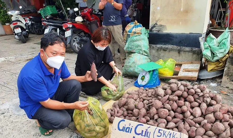 Đẩy mạnh tiêu thụ khoai lang cho nông dân với giá 3.000 - 5.000 đồng/kg