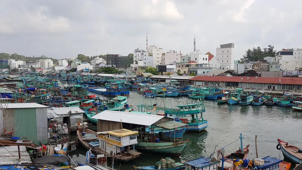 Ô nhiễm sông Dương Đông ở đảo Phú Quốc, cần ít nhất 10 năm để hồi sinh