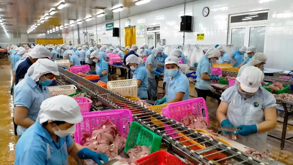 Tăng tốc xuất khẩu cá tra ngay đầu năm 2022