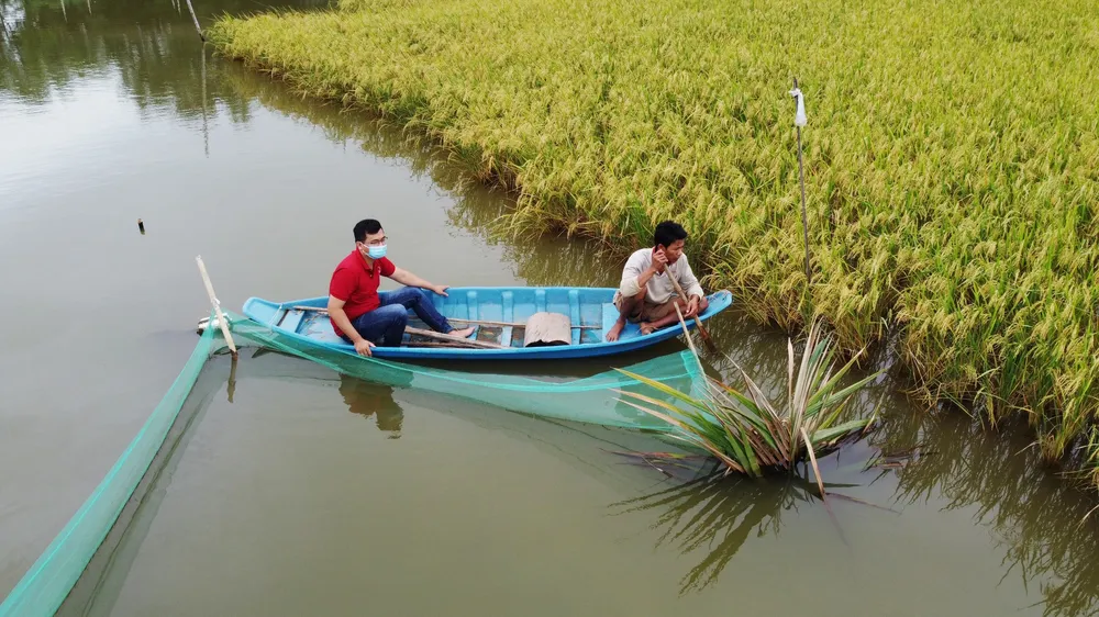 Anh Thuần cùng thành viên HTX Long Hiệp thăm cánh đồng lúa sạch. Ảnh: TÍN DI