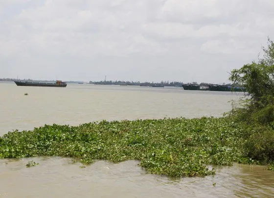 An Giang: Hủy kết quả vụ đấu giá khủng quyền khai thác cát trên sông Tiền
