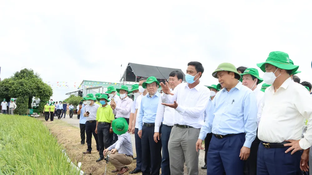 Chủ tịch nước Nguyễn Xuân Phúc khen ngợi mô hình Hội quán ở Đồng Tháp
