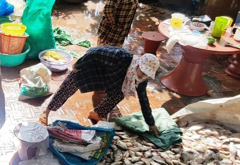 An Giang: di dời bè nuôi cá để giảm tình trạng chết tràn lan 