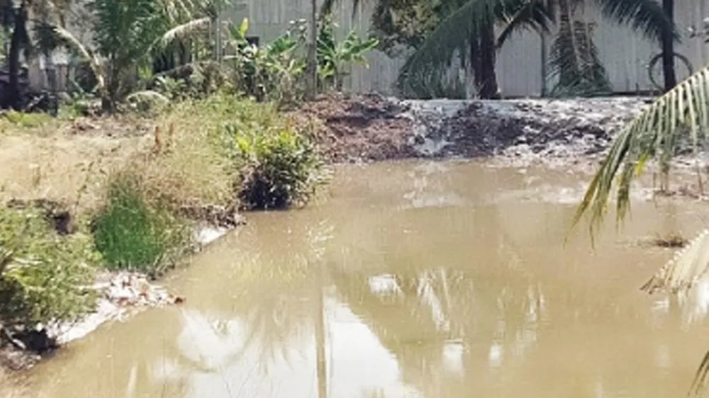 Kiên Giang: Cứu chó con rớt xuống nước, 2 chị em đuối nước thương tâm