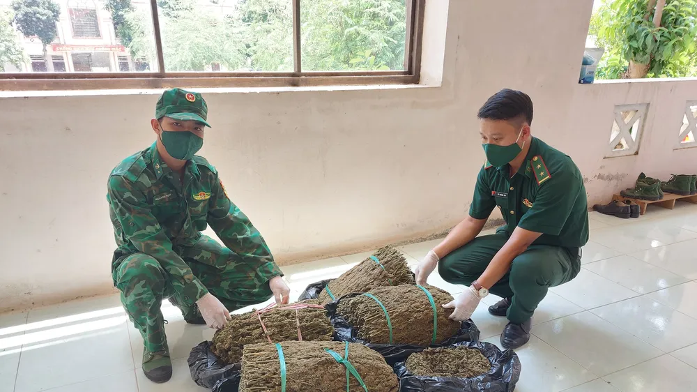Bộ đội Biên phòng An Giang thu giữ hơn 19kg nghi cần sa