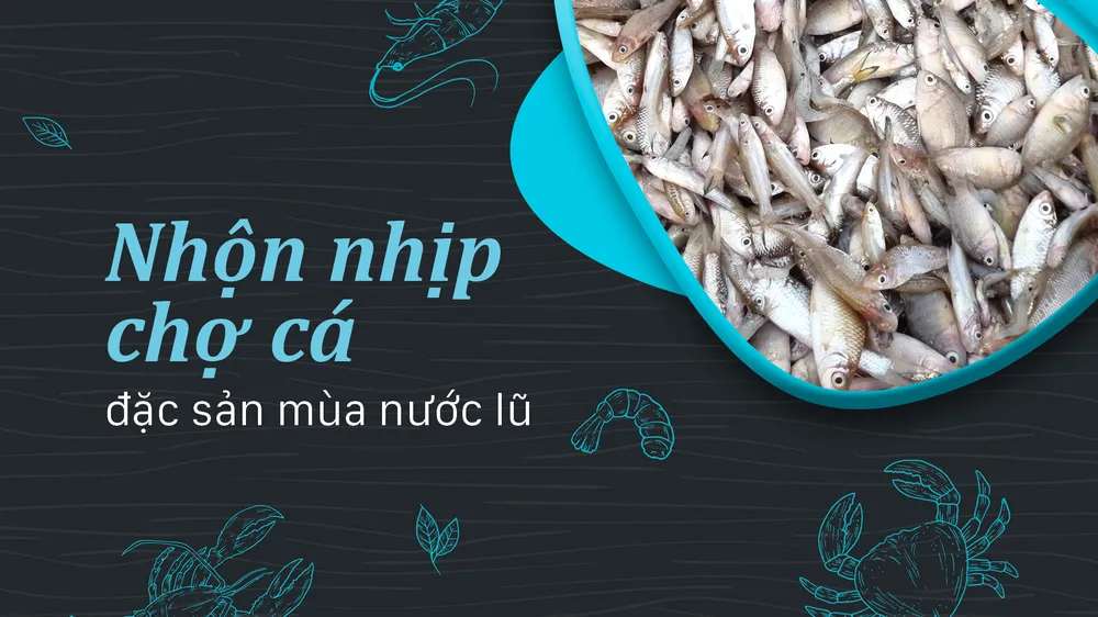 Nhộn nhịp chợ cá đặc sản mùa nước lũ