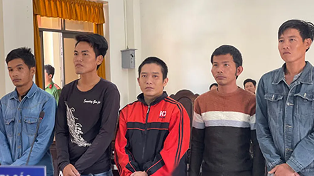 Tòa Phúc thẩm giảm án cho 6 bị cáo phá rừng Phú Quốc từ 1-2 năm tù