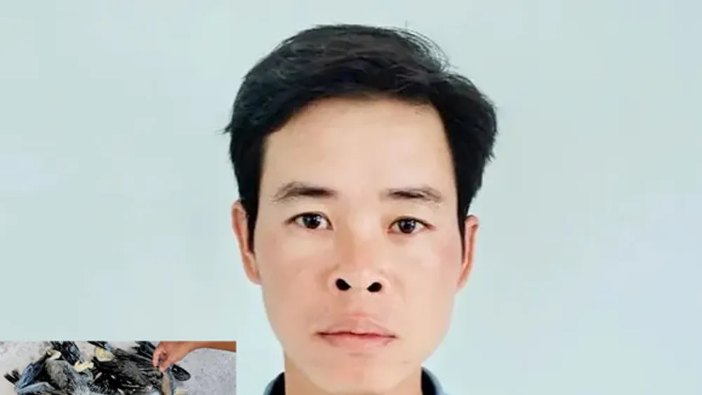 Thiếu mồi nhậu, rủ nhau vô rừng U Minh Thượng săn chim quý hiếm