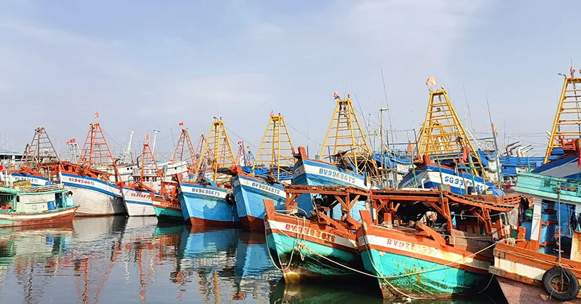 TPHCM kiện toàn Ban Chỉ đạo chống khai thác thủy sản bất hợp pháp