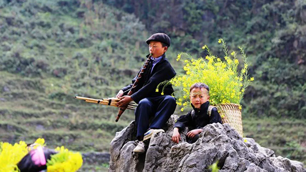 Rạng rỡ sắc hoa trên cao nguyên đá Đồng Văn