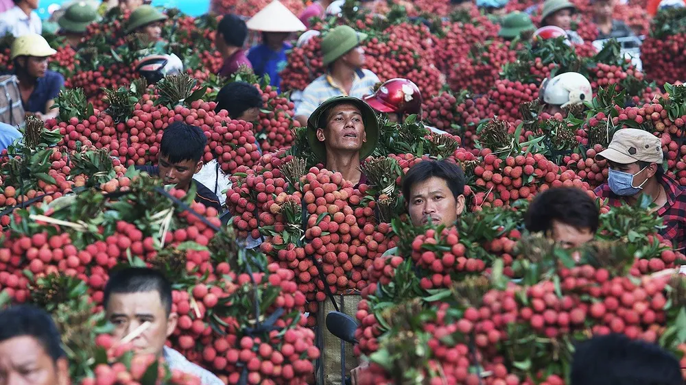 Những khoảnh khắc vàng cùng “Dấu ấn“