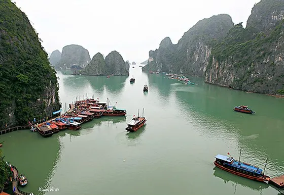 Đình chỉ tàu hoạt động trên vịnh Hạ Long vì bị “tố” quay trộm du khách