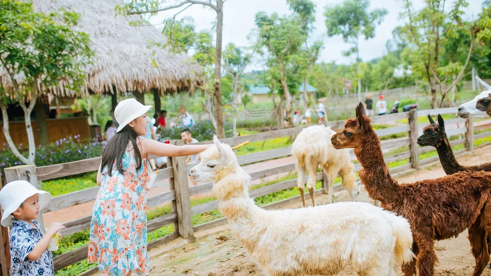 90% du khách lo ngại sẽ bị cách ly tại điểm đến hoặc khi quay về nhà