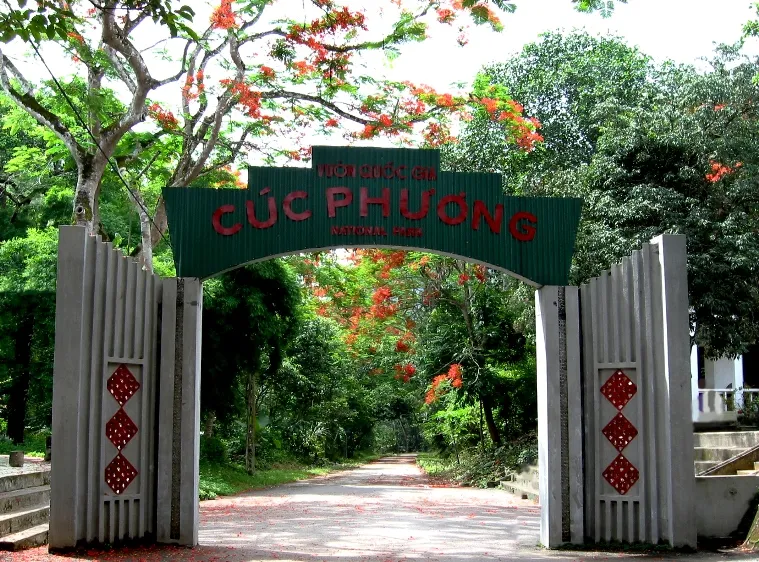 Đại ngàn Cúc Phương mở hội