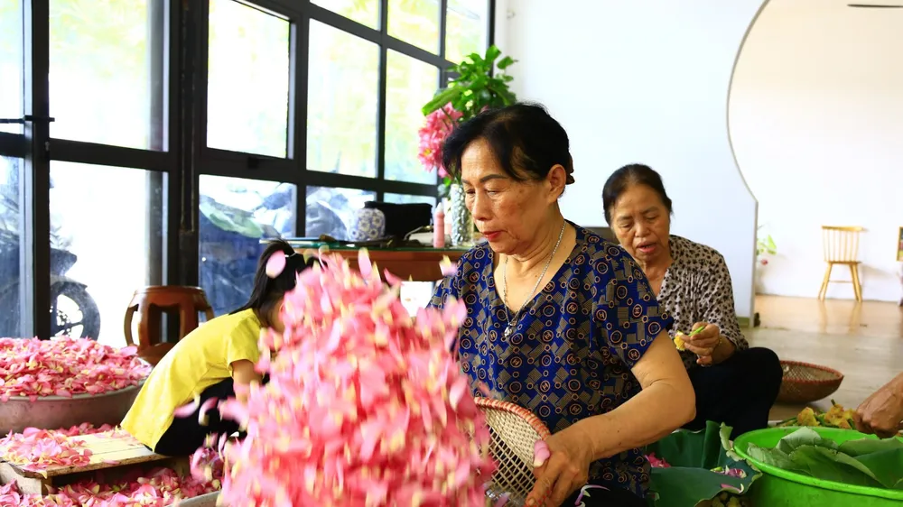 Tri thức làm trà sen Tây Hồ đã được bao đời trao truyền, gìn giữ. Ảnh: HÀ NGUYỄN 