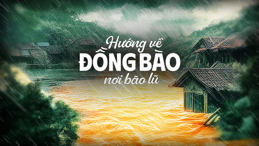 Nhiều chương trình truyền hình trực tiếp hướng về đồng bào vùng bão lũ
