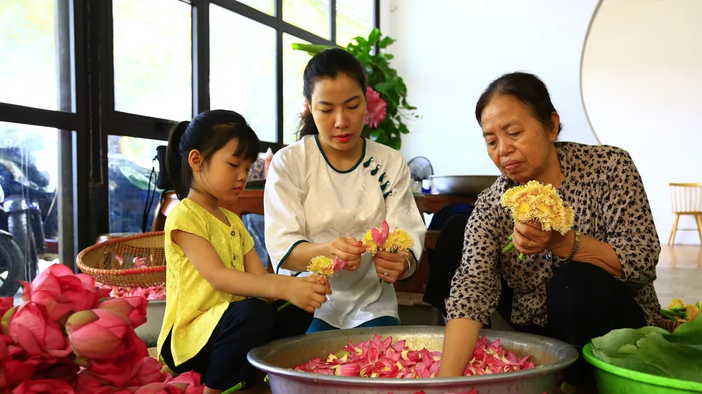 Nghề làm trà sen ở Tây Hồ (Hà Nội) là di sản phi vật thể quốc gia 