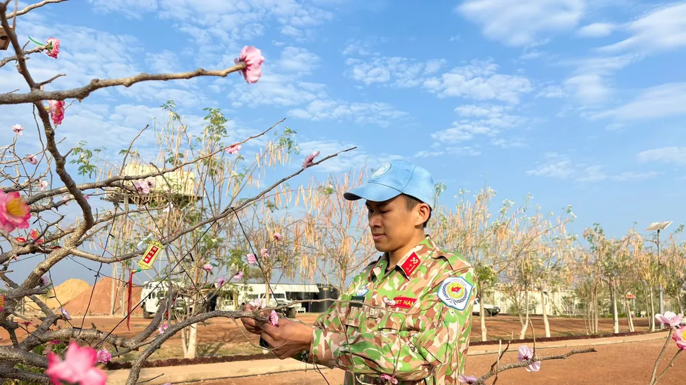 Trung úy Nguyễn Trung Kiên tỉ mẩn kết đào giấy, mang sắc xuân quê nhà đến vùng đất châu Phi 