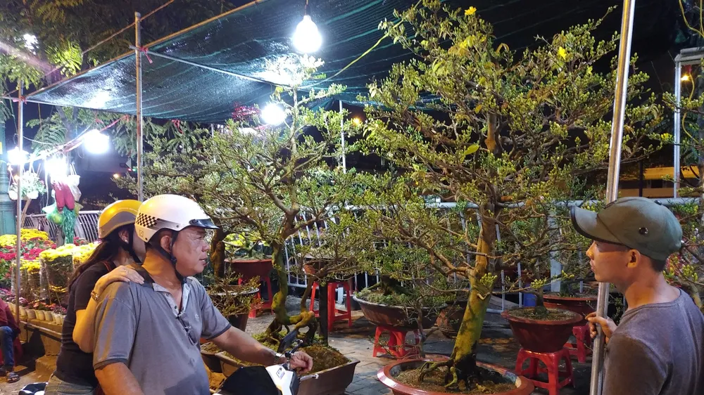 Gần 600 nhà vườn, nghệ nhân tham gia Hội hoa xuân “Trên bến dưới thuyền”