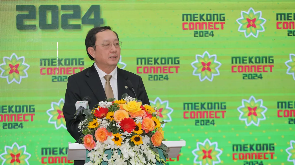 TPHCM tiếp tục phát huy vai trò nòng cốt trong liên kết vùng 