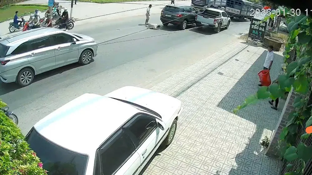 Hiện trường vụ việc. Ảnh cắt từ video