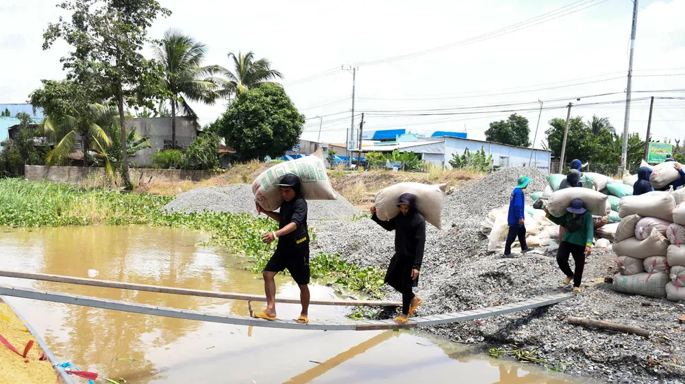  Vác lúa thuê từ bờ kênh lên ghe từ lâu trở thành nghề giúp nhiều người lao động có thu nhập khá