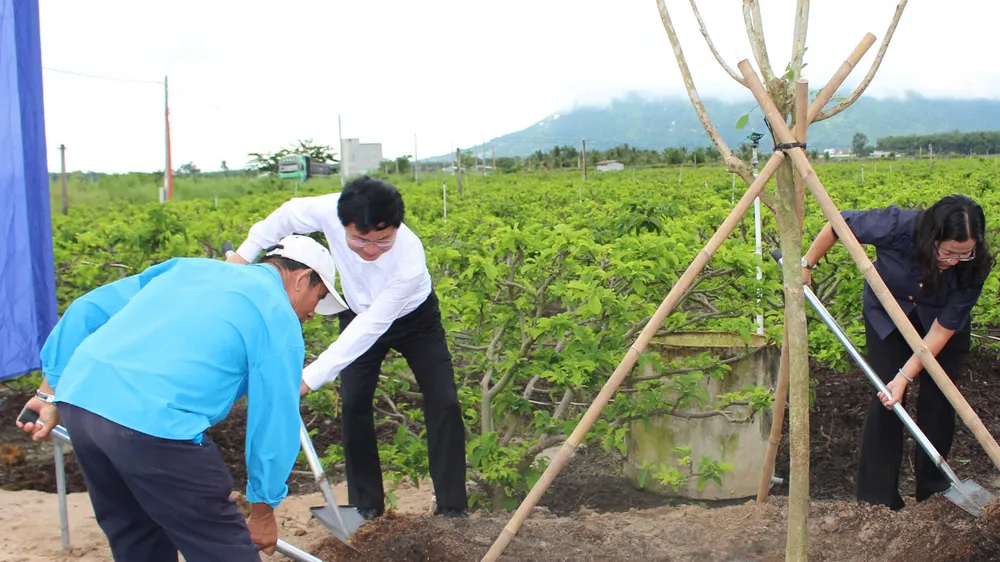 Bí thư Tỉnh ủy Tây Ninh Nguyễn Văn Quyết và các đại biểu trồng cây lưu niệm tại lễ phát động