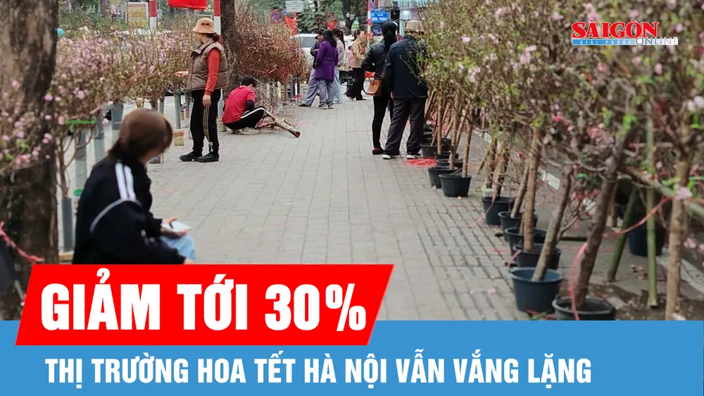 Thị trường hoa tết Hà Nội ảm đạm dù cận tết