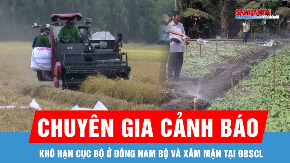 Dự báo khô hạn cục bộ ở Đông Nam bộ và xâm mặn tại ĐBSCL