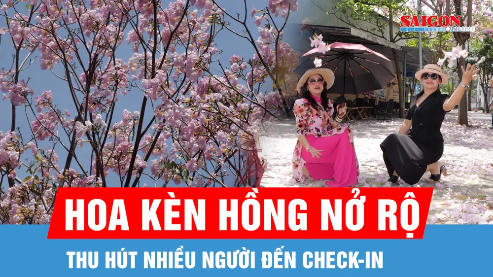 Hoa kèn hồng nở rộ, thu hút nhiều bạn trẻ và du khách check-in