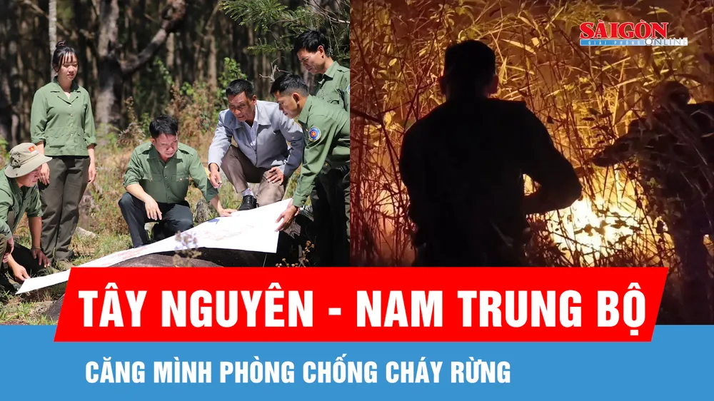 Tây Nguyên - Nam Trung bộ căng mình phòng chống cháy rừng