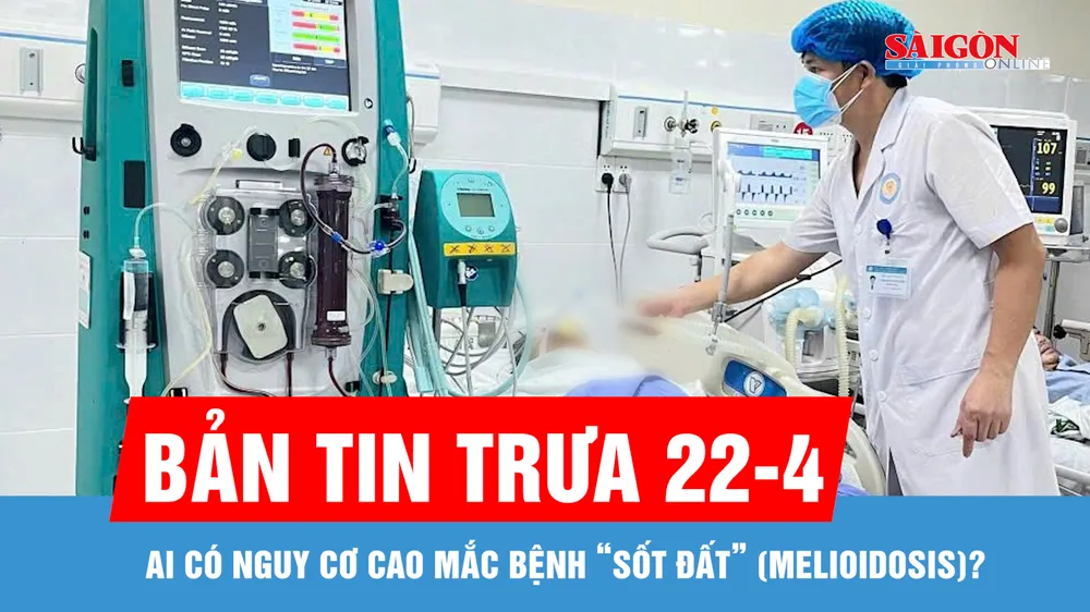Bản tin trưa 22-4: Ai có nguy cơ cao mắc bệnh “sốt đất” (Melioidosis)?