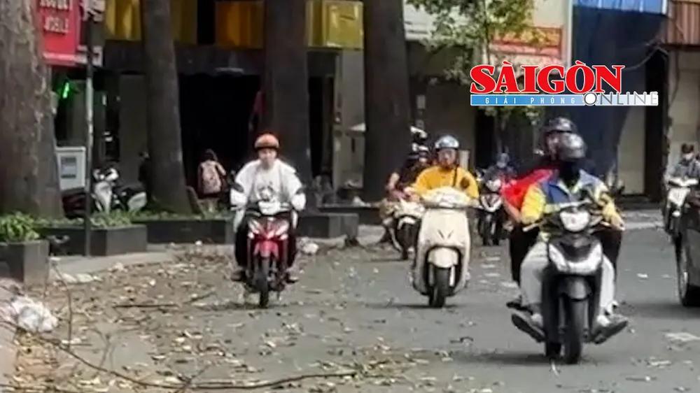 Chiều 17-5, TPHCM có gió mạnh, khi trời bắt đầu chuyển mưa, trên một số tuyến đường có nhiều nhánh cây rơi và một biển quảng cáo bị quật rơi xuống đường. 