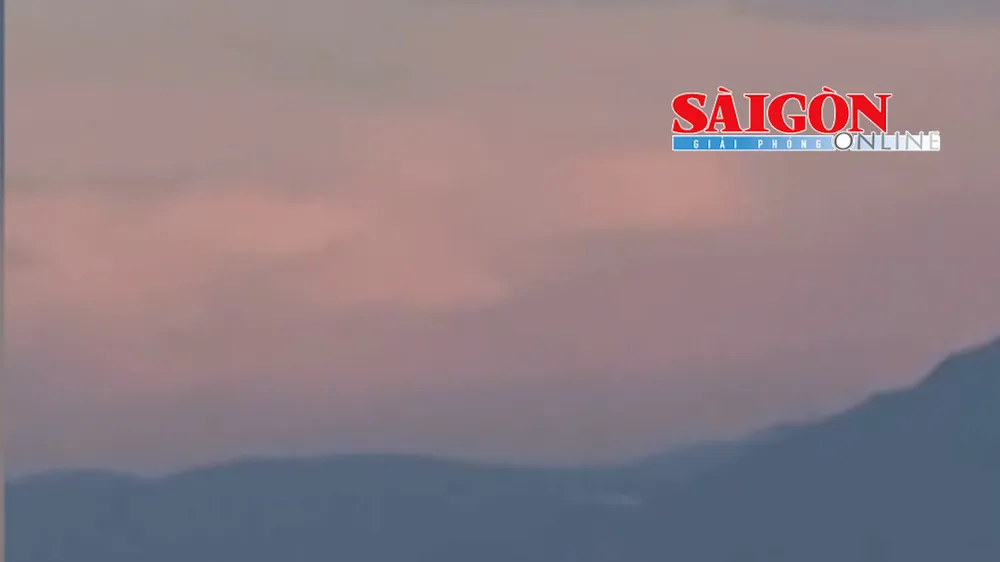 Sáng 26-5, Ban Quản lý vịnh Nha Trang (tỉnh Khánh Hòa) cho biết, vừa ghi nhận cá voi xuất hiện tại phân khu bảo vệ Hòn Mun, thuộc vịnh Nha Trang.