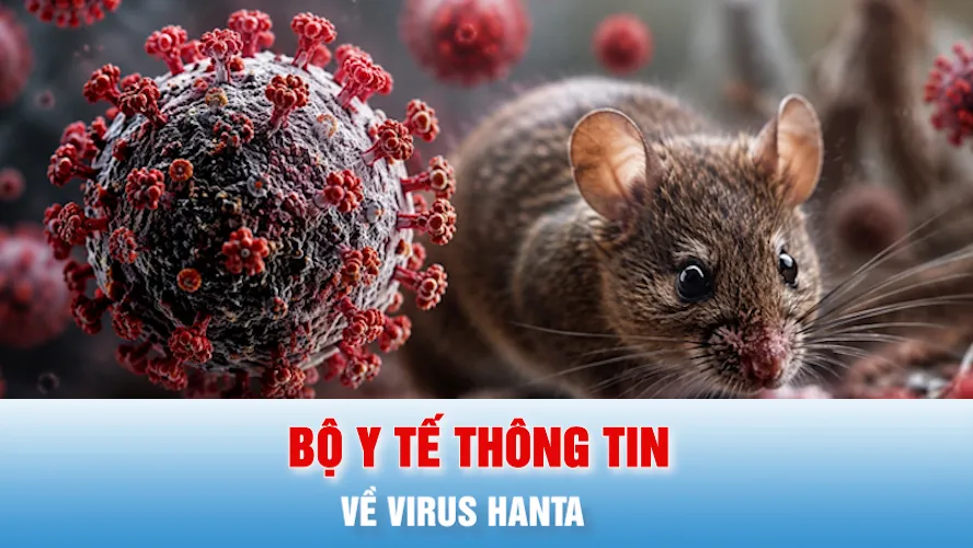 Podcast bản tin tối 3-7: Bộ Y tế thông tin mới nhất về virus Hanta 
