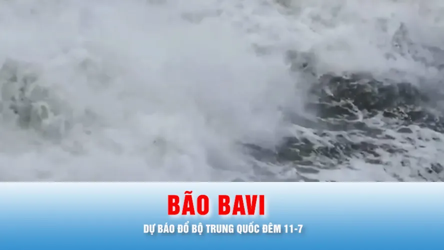 Podcast bản tin thời sự 11-7: Bão Bavi dự báo đổ bộ Trung Quốc đêm 11-7, miền Bắc sắp có đợt mưa lớn