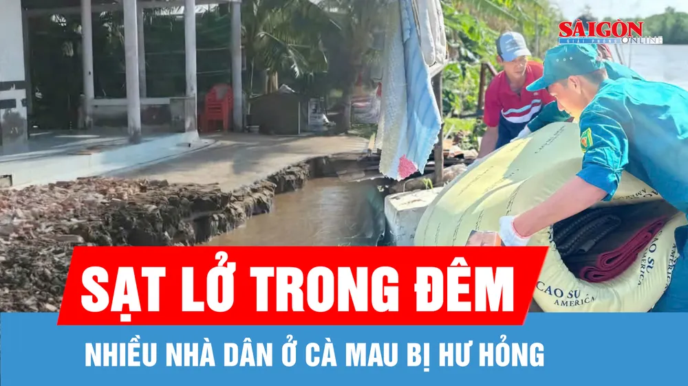 Cà Mau: Sạt lở đất trong đêm, nhiều nhà dân hư hỏng