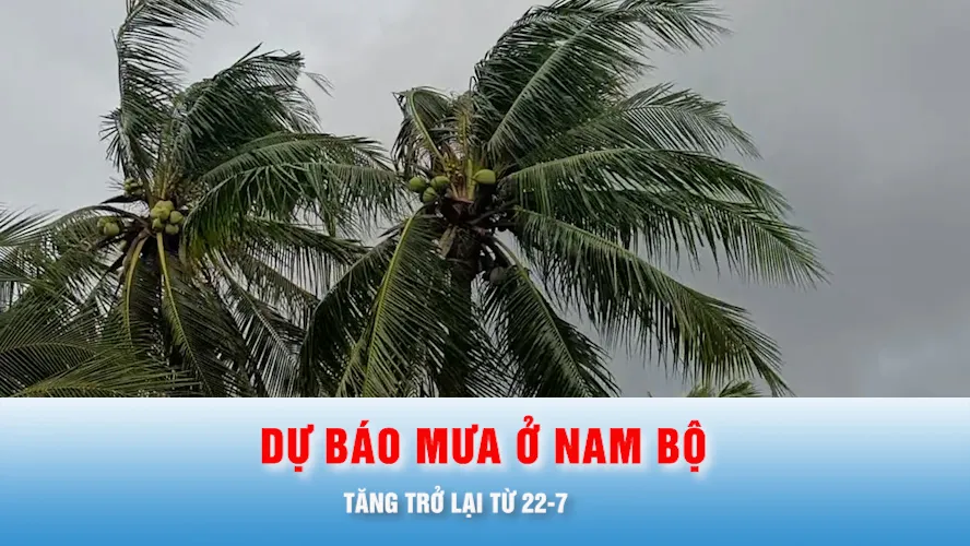 Podcast bản tin trưa 21-7: Dự báo mưa ở Nam bộ tăng trở lại từ 22-7
