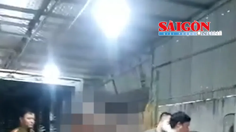 điều tra vụ gần 1 tấn thịt nghi nhiễm dịch tả heo châu Phi