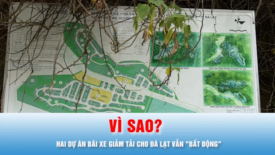 Podcast tin thời sự ngày 16-8: Vì sao hai dự án bãi xe giảm tải cho Đà Lạt vẫn "bất động"?