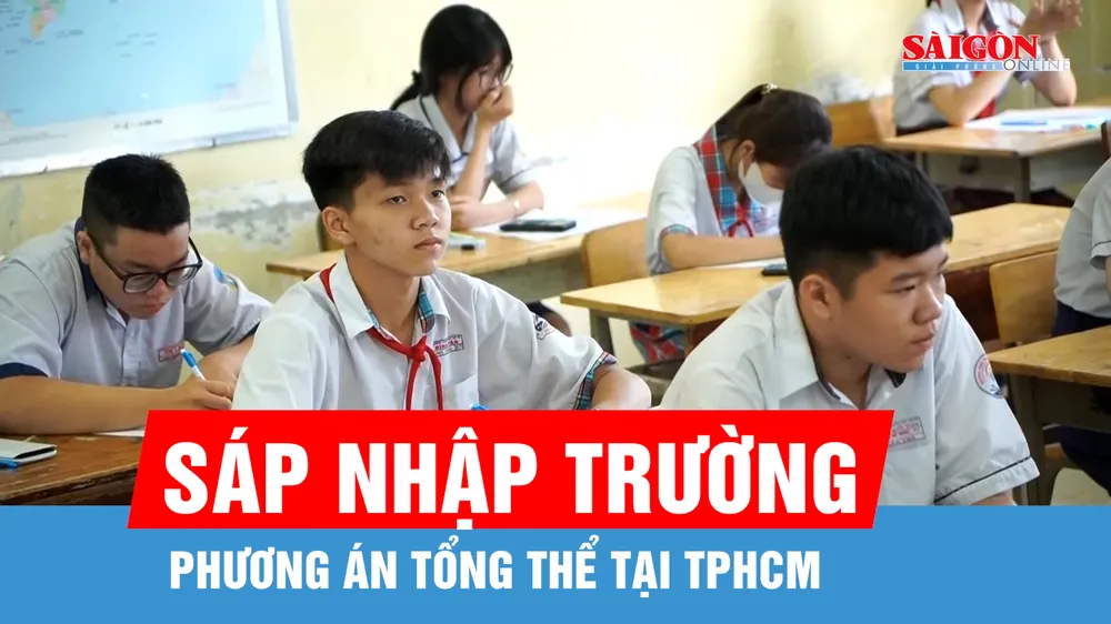 TPHCM phê duyệt phương án tổng thể sắp xếp mạng lưới các cơ sở giáo dục