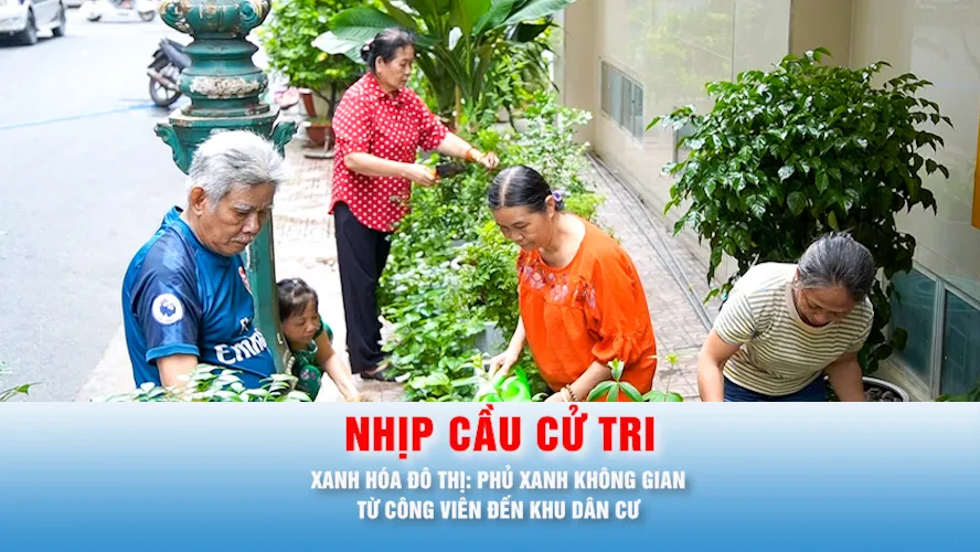Nhịp cầu cử tri: XANH HÓA ĐÔ THỊPhủ xanh không gian từ công viên đến khu dân cư