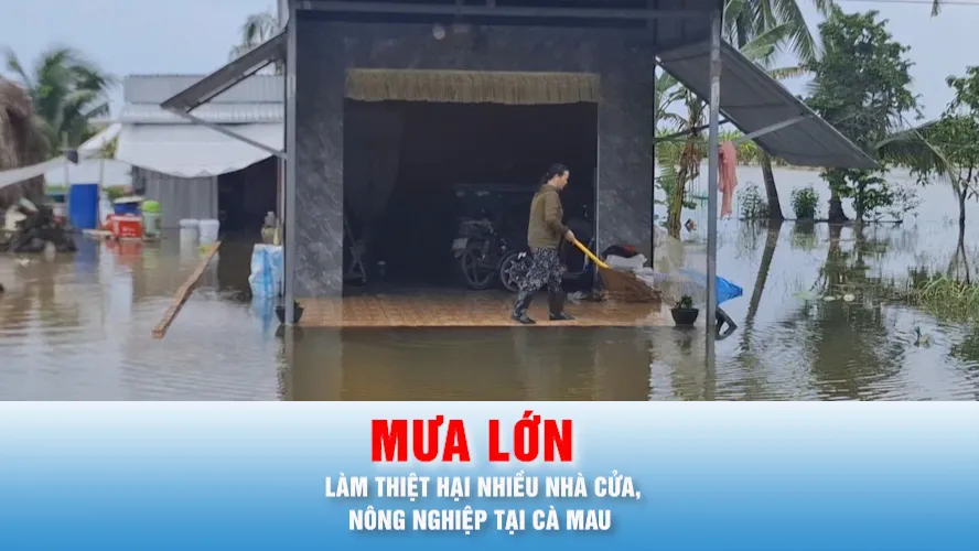 Podcast bản tin thời sự ngày 26-9: Thống kê thiệt hại do mưa lớn kéo dài tại Cà Mau