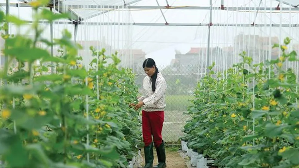 Đẩy mạnh chuyển dịch cơ cấu nông nghiệp