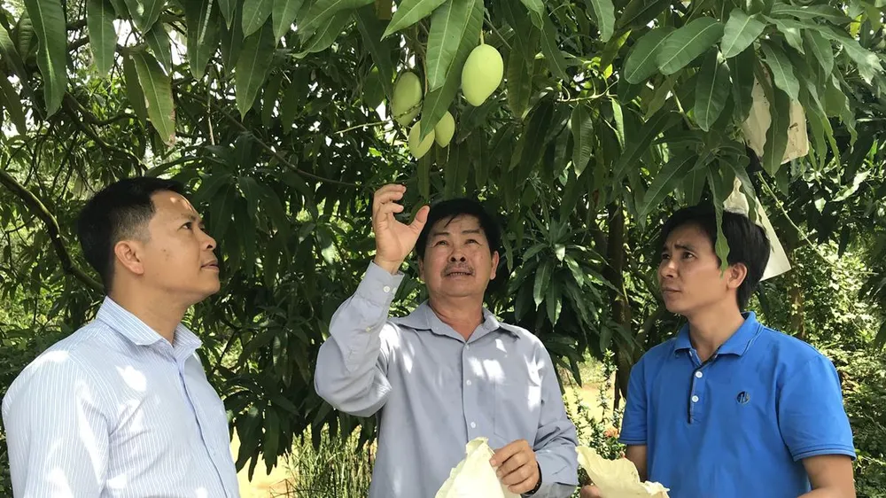 TPHCM kích cầu các tỉnh sản xuất an toàn