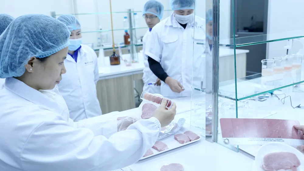 Thấy gì từ chuyến tham quan nhà máy thịt mát?