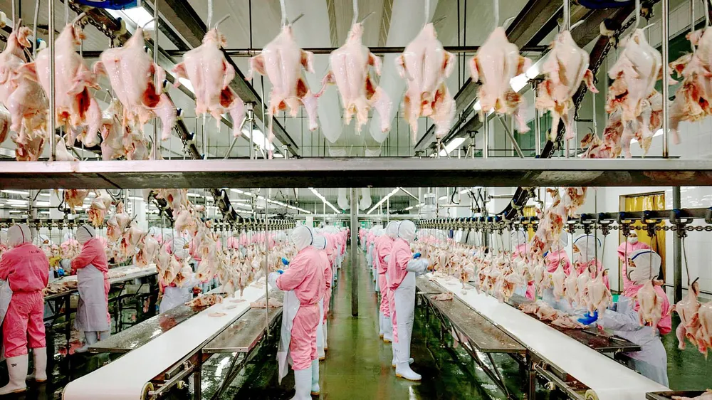 Xuất khẩu nông lâm thủy sản sẽ đạt 65 -70 tỷ USD vào năm 2030